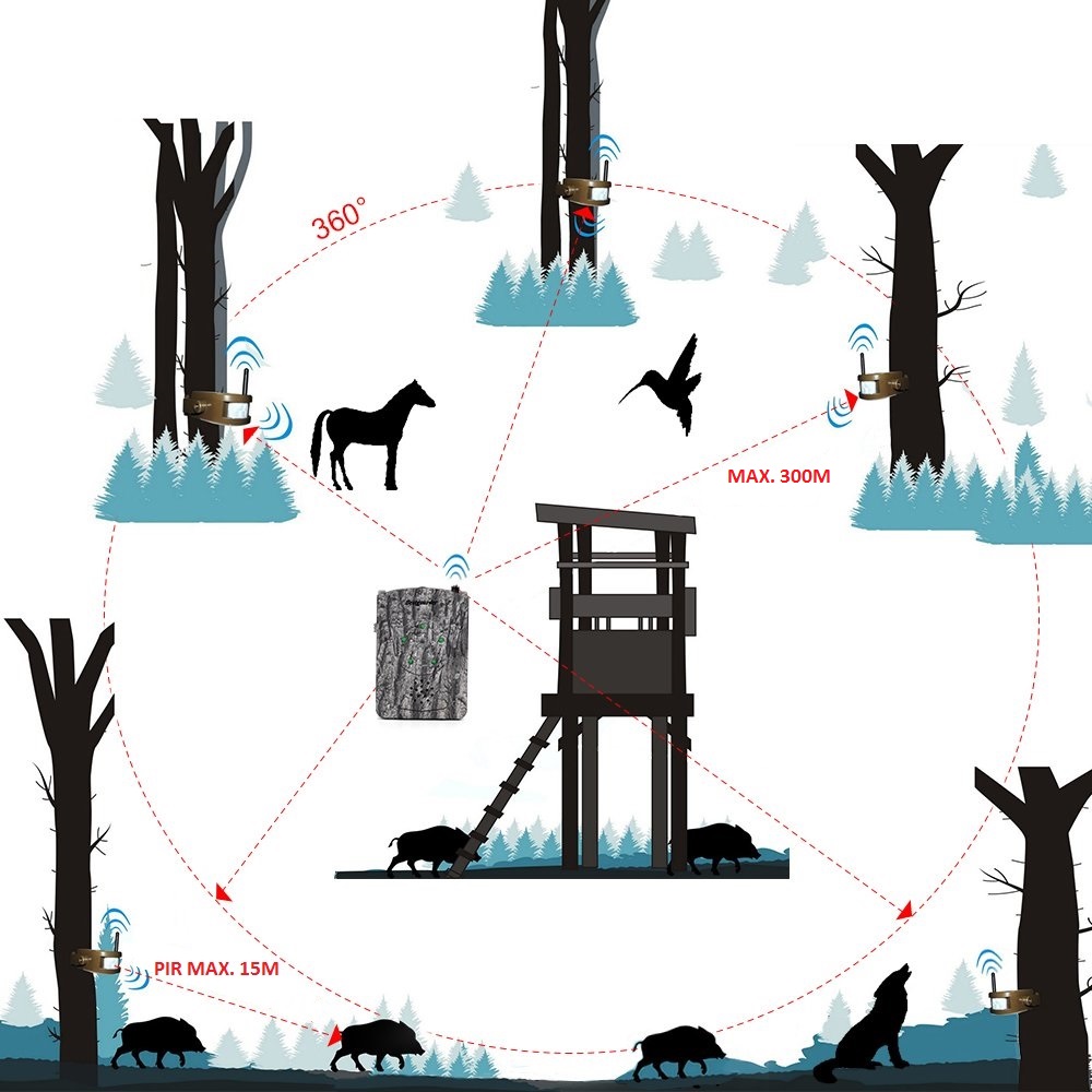 vadászat riasztó rendszer Bestguarder az erdőben