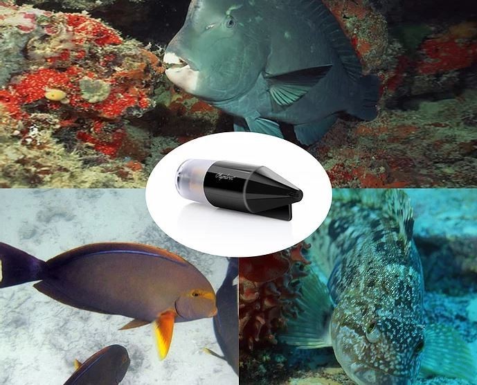 víz alatti kamera a halászok számára